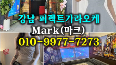 퍼펙트가라오케: 마크 사장의 열정이 빚어낸 완벽함